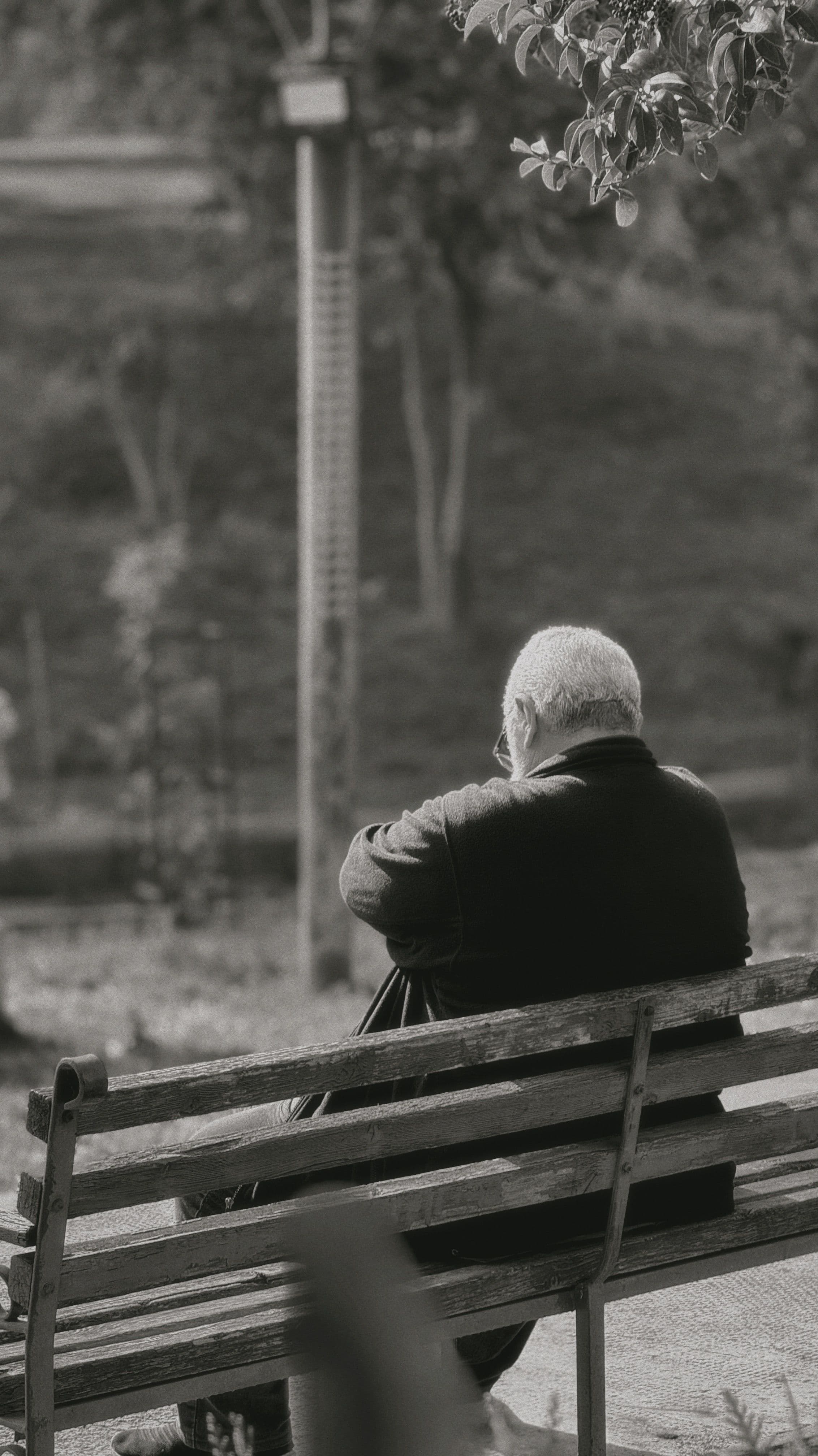 Cambios sexuales en el hombre con la edad: erección, excitación y deseo